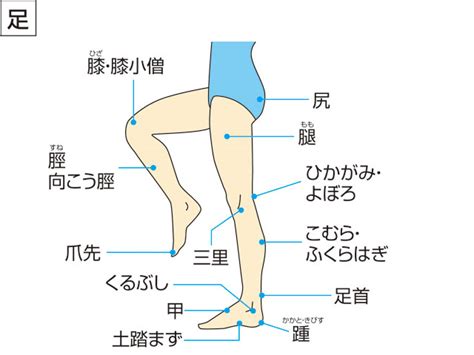 右後 読み方|「うしろ」の意味や使い方 わかりやすく解説 Weblio辞書